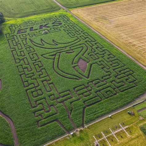 Maze | Edmonton's original corn maze