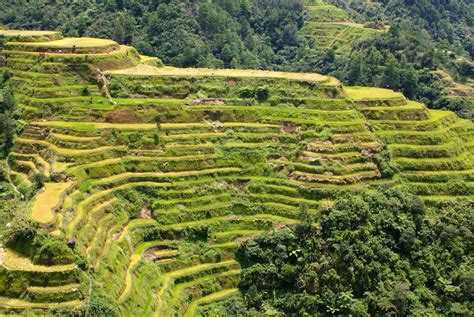 Banaue Rice Terraces, Philippines - Map, Facts, Location, Information