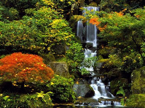 Japanese Garden - Portland Wallpaper (692415) - Fanpop