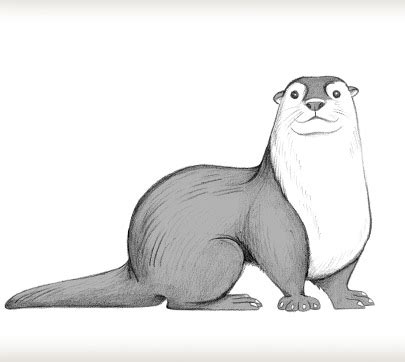 River Otter Drawing