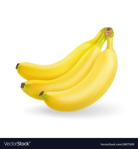 Banana fruit realistic bunch of bananas isolated Vector Image