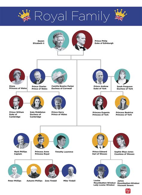 The british royal family tree and complete line of succession – Artofit