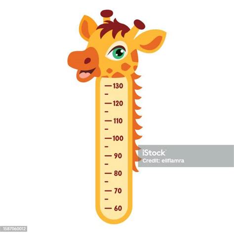 Height Chart With Cartoon Animals Stock Illustration - Download Image Now - Altitude Dial ...