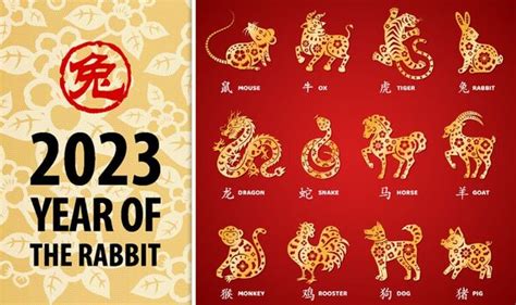 Chinese New Year: What zodiac animal am I and what does it mean for ...