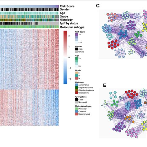 | Functional and pathway analyses of four-long non-coding RNA (lncRNA)... | Download Scientific ...