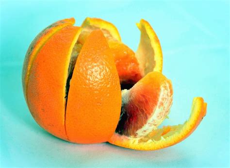 Free picture: orange, peel, fruit