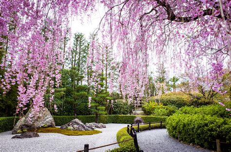 9 Traditional Japanese Plants for Your Garden