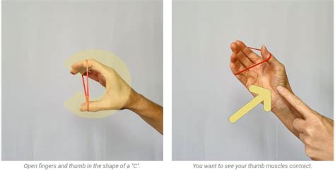 Top 5 Hand Strengthening Exercises For Stronger Hands - Virtual Hand Care