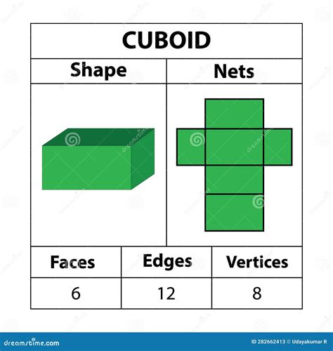 Cuboid Nets, Faces, Edges, Vertices. Geometric Figures are Set Isolated on a White Backdrop ...