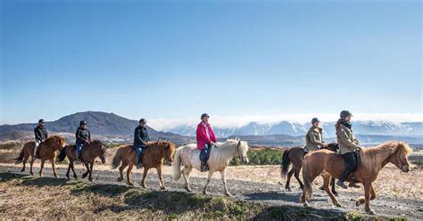 Iceland Horse Tours | Best Price Guarantee | Adventures.com