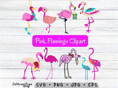 Flamingo Clipart Flamingo SVG PNG Flamingo Stickers Pink - Etsy