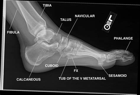 Images of Foot! - JapaneseClass.jp