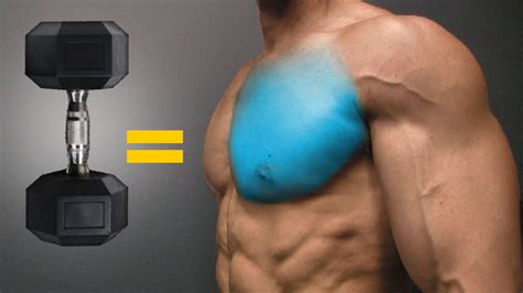 Dumbbell Chest Workout - Best Dumbbell Exercises for Chest - Bút Chì Xanh