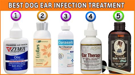 Best Dog Ear Infection Remedies Without Antibiotics Fidose Of Reality ...