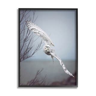 Stupell Majestic Snowy Owl Flying Wingspan Wildlife Photography Framed Wall Art, Design by ...