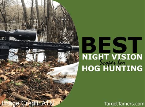 5 Best Night Vision Scopes For Hog Hunting In 2023 (Pros & Cons)