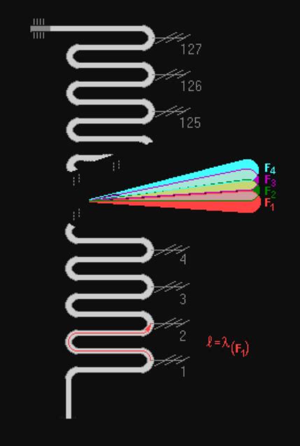 Phased Array Antennas and MIMO Applications