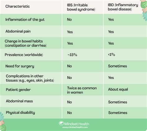 IBD vs IBS: Understanding Different Gastrointestinal Conditions