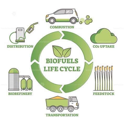 Biofuel life cycle diagram as production, consumption process outline diagram - VectorMine