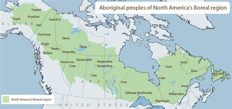 Conservation Value of the North American Boreal Forest from an Ethnobotanical Perspective ...