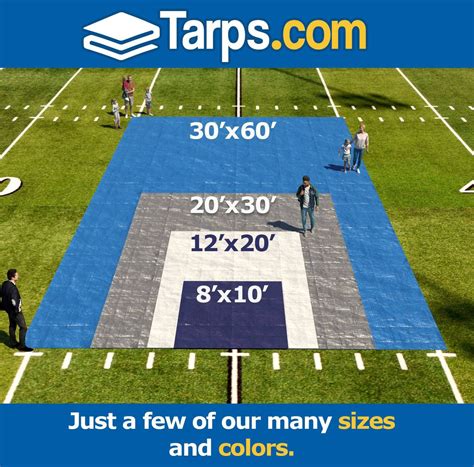 All-Purpose Economy Poly Tarps — Tarps.com