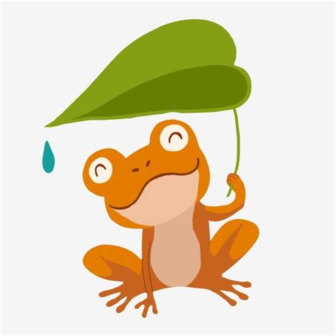 Orange Frog Clipart For Kids