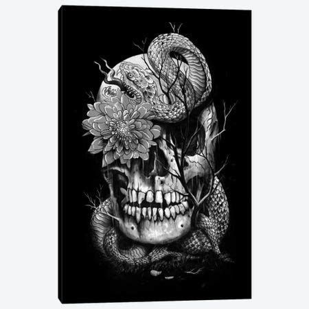 Skull Paint Canvas Art Print by Nicebleed | iCanvas