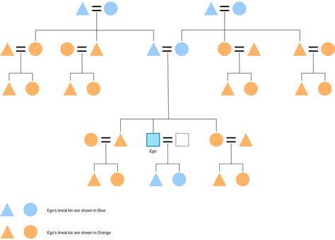 Anthropology Kinship Chart Maker - Best Picture Of Chart Anyimage.Org