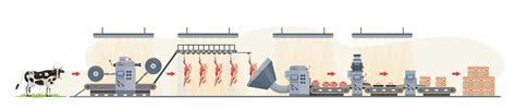 Beef Production Infographic Meat Production Process Industrial Line From Cow Meat Storage ...