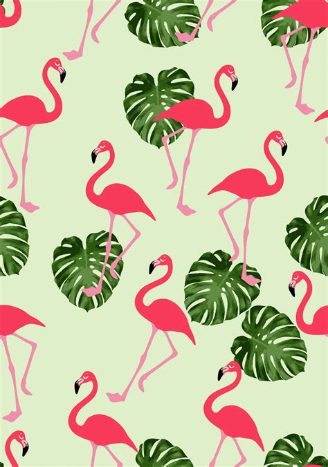 Flamingo Wallpaper (54+ images)