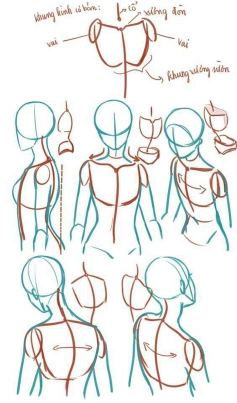 Anatomy Tips For Drawing Skeleton Halloween Draw Easy Drawing Drawings ...