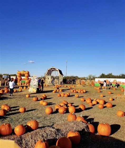 The Orr Family Farm: Oklahoma City’s Famed Pumpkin Patch