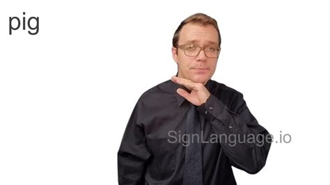 pig in ASL - Example # 1 - American Sign Language