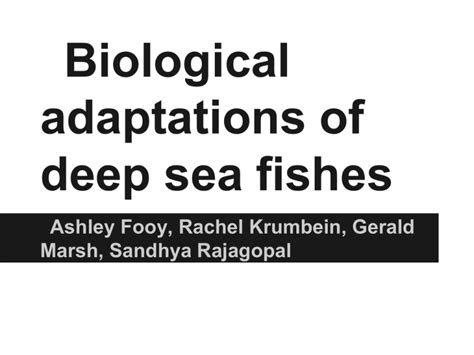 Biological adaptations of deep sea fishes