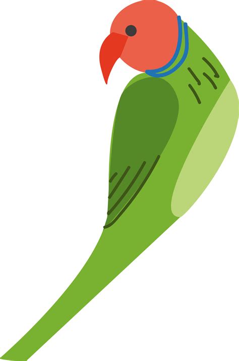 Green parrot, vector or color illustration. 13717063 Vector Art at Vecteezy