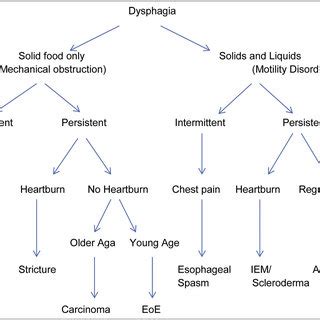 Disorders causing oropharyngeal dysphagia. Several disorders may... | Download Scientific Diagram