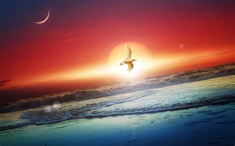 Sun Moon Wallpapers | HD Wallpapers | ID #14514