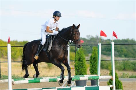 Rider in the jumping show stock photo. Image of sport - 10604572