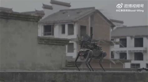 Shocking video shows Chinese robot attack dog with machine gun dropped by drone | Fox News