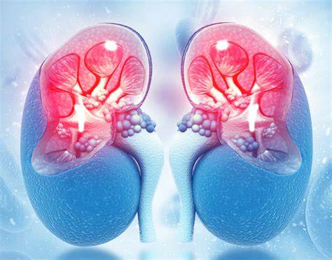 Renal perfusion scintiscan