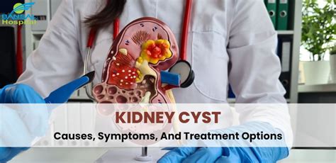 Kidney Cyst: Causes, Symptoms, And Treatment Options- Bansal Hospital