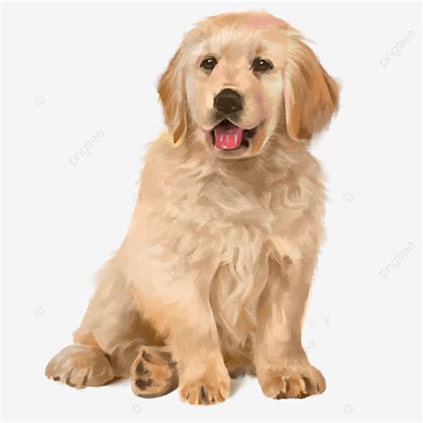 Exquisite Hand-painted Realistic Cartoon Dog's Head, Cartoon Clipart, Head Clipart, Cartoon ...