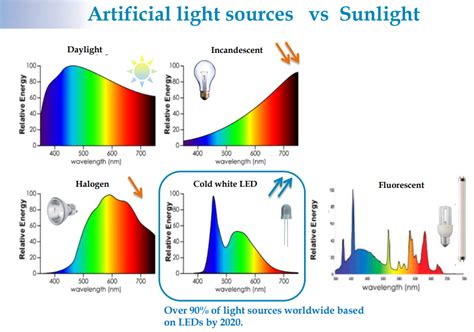 Which Blue Light Protection Is Right For You?