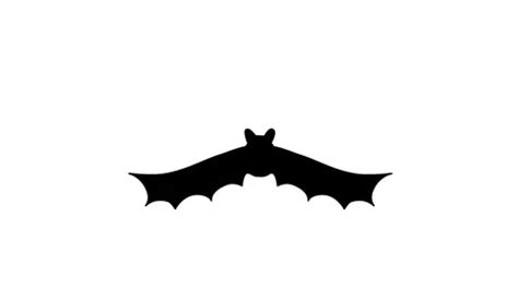 An animated bat is flying. Looped animat... | Stock Video | Pond5