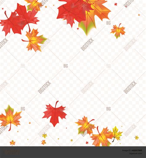 Brown Leaves Vector & Photo (Free Trial) | Bigstock