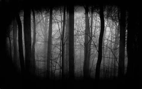 🔥 Download Dark Forest Wallpaper by @nicolemcfarland | Dark Forest ...