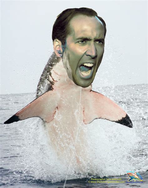 Nic Cage as Everyone