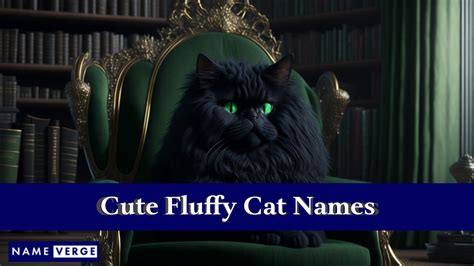 Fluffy Cat Names: 313+ Cute Names For Your Silky Cat