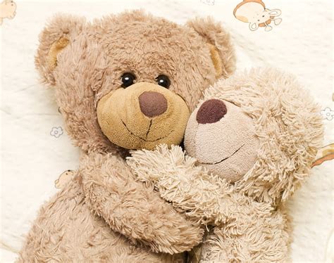 HD wallpaper: two brown bears plush toys, teddy bears, hugging, love ...