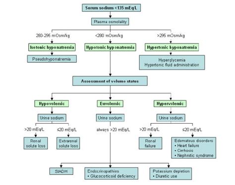 Hyponatremia | Current Health Advice, Health Blog Articles and Tips Hiv ...